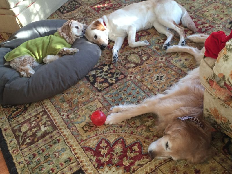 Or just take a collective nap.
